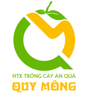 Hợp tác xã trồng cây ăn quả Quy Mông