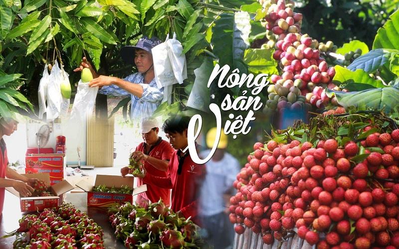 Phát huy sức mạnh chuỗi liên kết nông sản trong mùa dịch